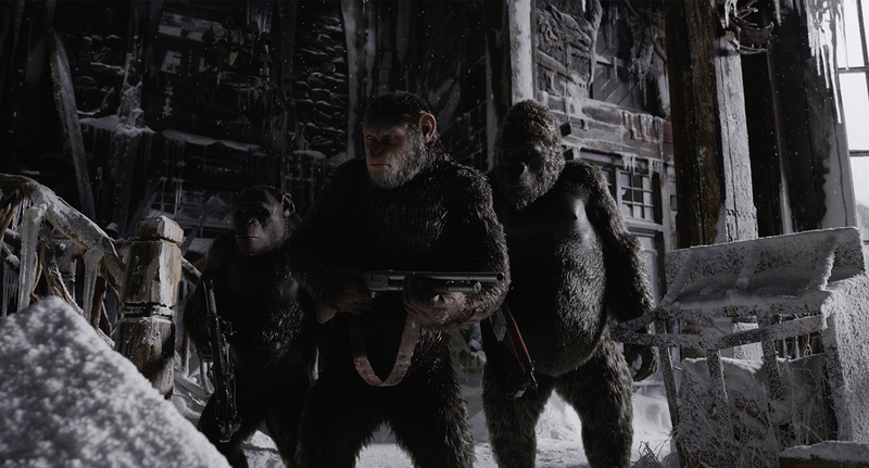 Caesar and his boys.